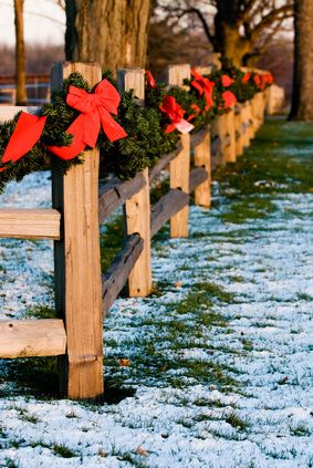 A split-rail fence can add a rustic touch to your property. Fenced Driveway, Backyard Fence Decor, Front Yard Decor, Split Rail Fence, Rustic Fence, Artificial Christmas Garland, Front Yard Fence, Rail Fence, Fence Posts