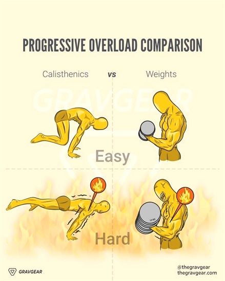 Progression Overload, Total Body Workout Routine, Calisthenics Equipment, Calisthenics Workout Plan, Calisthenics Training, Progressive Overload, Gymnastic Rings, Work Out Routines Gym, Full Body Workout Routine