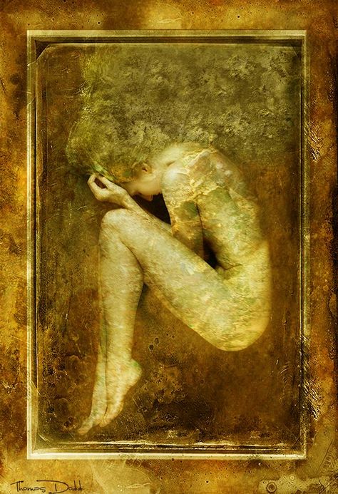 Cocoon (© 2014 by Thomas Dodd) model - Eva Metamorphosis Art, Medical Drawings, Fetal Position, Dawn And Dusk, Ap Art, Abstract Drawings, Dreamy Art, Green Art, Art Reference Photos