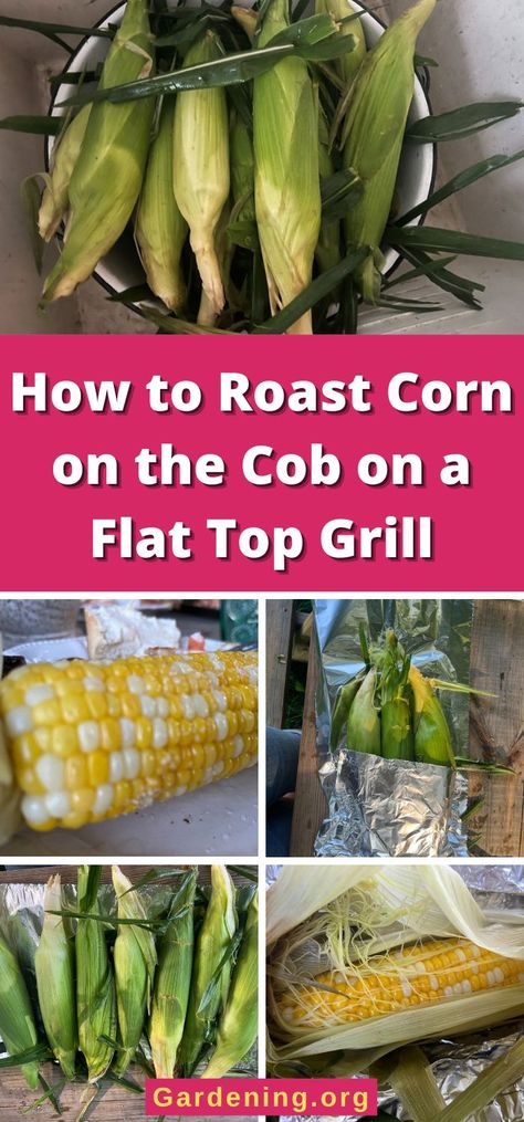 Corn On The Blackstone Griddle, Black Stone Corn On The Cob, Blackstone Corn On The Cob, Corn On Flat Top Grill, Veggies On Flat Top Grill, Cooking On A Flat Top Grill, Baking On A Blackstone Griddle, Blackstone Cleaning, Corn On The Cob Blackstone Griddle