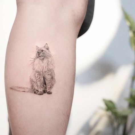 Ragdoll. Tattoo. Realistic tattoo. Cat Lover Tattoo, Tattoo Gato, Cat Outline Tattoo, Cat Portrait Tattoos, Cat Tattoo Ideas, Jewel Tattoo, Cat Outline, Outline Tattoo, Single Needle Tattoo