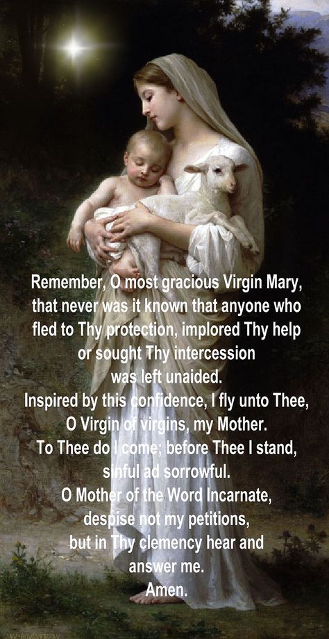 Memorare Memorare Prayer Virgin Mary, Afternoon Prayers, Memorare Prayer, Afternoon Prayer, Mary Garden, Mother Images, Mama Mary, Night Prayer, Hail Mary