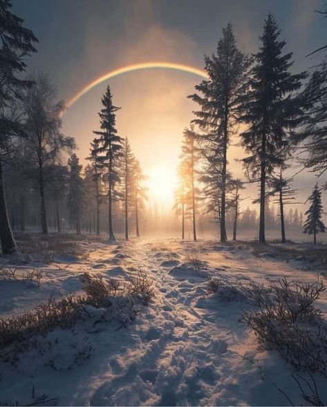 Cold weather rainbow   Photographer unknown Beautiful Nature Wallpaper Hd, Morning Sunrise, Winter Scenery, January 13, Winter Wonder, Beautiful Nature Wallpaper, E Card, Nature Wallpaper, The Light