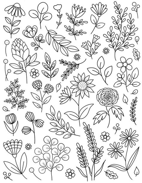 Drawing Dragons, Reverse Coloring, Motif Bordir, Plants Drawing, Doodle Art Flowers, Flower Drawing Tutorials, Floral Doodle, Illustration Botanique, Floral Drawing