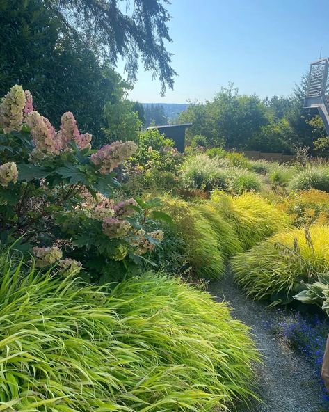 Pnw Garden, Pacific Northwest Garden, Drought Tolerant Trees, Small Trees For Garden, Northwest Landscaping, Drought Tolerant Landscape, Backyard Garden Landscape, Cottage Garden Design, Smart Garden