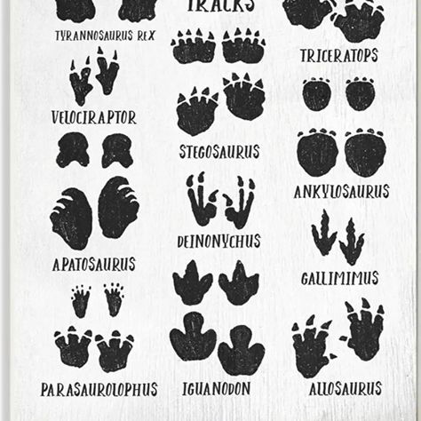 I saw the same track print, that's tattooed on the side of my foot, at the gym. Interesting. It was little on the ground, but there it was. Like a dinosaur print, in the first photo, that's it, in the tan. What are the chances, I'd see that?, And have that tattoo already, highly unlikely. T-rex Art, Dino Tracks, Dinosaur Activities Preschool, Dinosaur Tracks, Dinosaur Drawing, Dinosaur Activities, Tyrannosaurus Rex, Art Kids, Stupell Industries