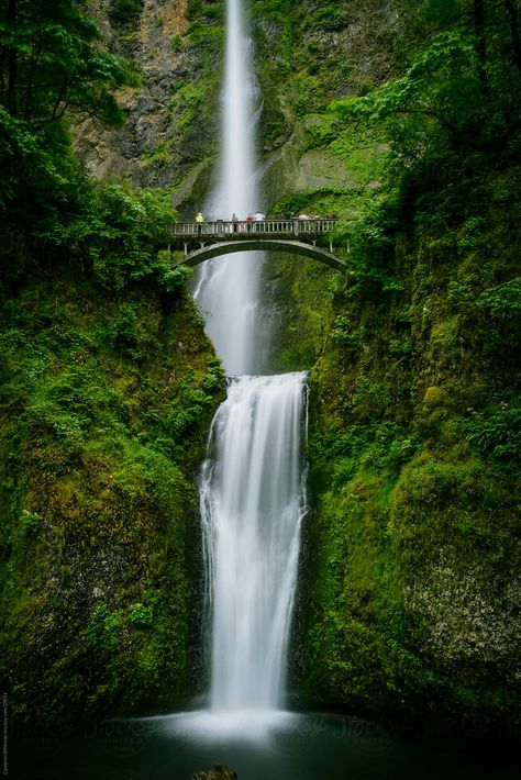 Multnomah Falls, Columbia River Gorge, Oregon | Stocksy United Colombia River Gorge Oregon, North Umpqua River Oregon, Columbia River Gorge Hikes, Multnomah Falls Oregon Photography, Silver Creek Falls Oregon, Gorge Oregon, Columbia River Gorge Oregon, Pop Art Animals, Multnomah Falls