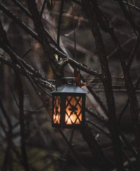 Lantern Aesthetic Dark, Lantern Aesthetic, Samhain Halloween, Fire Image, Single Candle, Cottage In The Woods, 1% Wallpaper, Movie Wallpapers, Aesthetic Dark