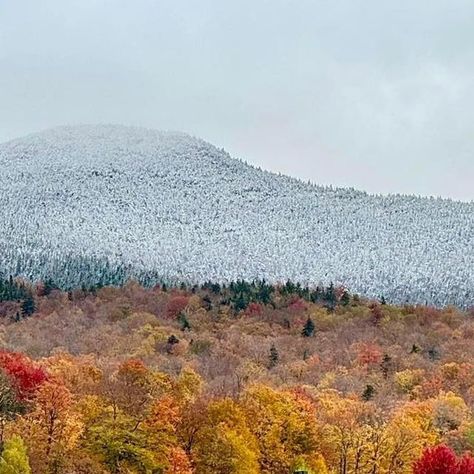 The Real Vermont on Instagram: "Snowliage - a rare phenomenon where two seasons collide - in Stowe, Vermont. 🍁❄️  📸: Christina O’Brien   #newengland #vermont #fallfoliage #vermontliving #vermontlife #newenglandliving #vermontbyvermonters #foliage #fallinnewengland #therealvermont #vt #fallinvermont #stowevermont #stowevt #sprucepeak #snowliage" Rare Phenomenon, Stowe Vt, Stowe Vermont, New England Fall, Fall Foliage, Vermont, New England, Places To Go, On Instagram