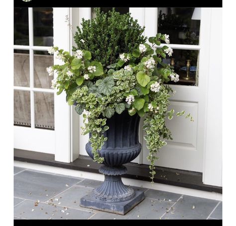 Boxwood Planters, Spring Containers, Front Porch Flower Pots, Front Porch Flowers, Summer Planter, Boxwood Garden, Fall Container Gardens, Spring Planter, Porch Flowers