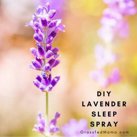 Wood Massage, Lavender Pillow Spray, Massage Marketing, Witch Board, Lavender Pillows, Vernal Equinox, Helpful Things, Homemade Products, Small Backyard Gardens