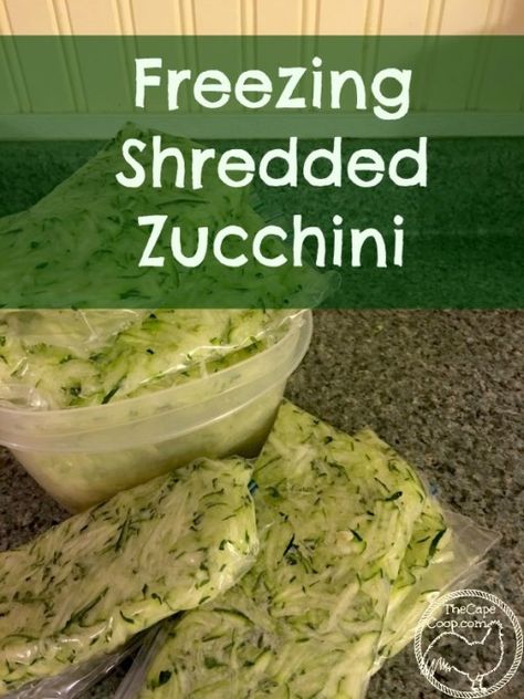 Canning Zucchini, Zucchini Zoodles, Freezing Zucchini, Freezing Vegetables, Fresh Zucchini, Zucchini Recipe, Shredded Zucchini, Winter Vegetables, Frozen Veggies