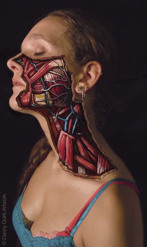 Facial Dissection by Danny Quirk, via Behance Danny Quirk, Inside Human Body, Tattoo Placements, Facial Anatomy, Human Body Art, Human Body Anatomy, Body Anatomy, Human Condition, Body Modifications