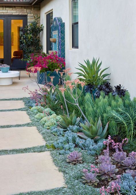 Spanish Desert Landscape, Backyard Pathway Ideas, Backyard Pathway, Succulent Garden Ideas, Pathway Ideas, Succulent Garden Landscape, Arizona Backyard, Green Backyard, Garden Arch Trellis