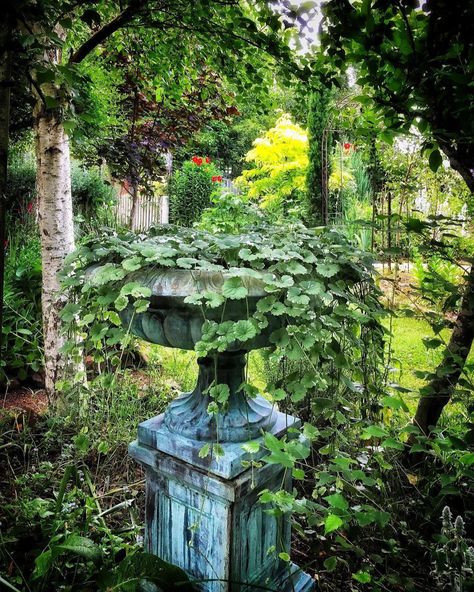 20 Pretty Shade Garden Ideas That Don't Need Lots of Light to Thrive Garden Grotto Ideas, Cottage Shade Garden, California Garden Ideas, Secret Garden Ideas Backyard, Garden Sculpture Ideas, Whimsical Garden Ideas, Shade Garden Ideas, Garden Objects, Shade Landscaping