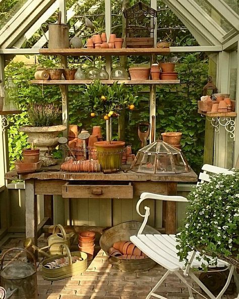 Garden Shed Interiors, Plants And Pots, Greenhouse Shed, Greenhouse Interiors, Green Houses, Backyard Greenhouse, Small Greenhouse, Greenhouse Plans, Potting Sheds