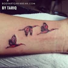 National Bird of Trinidad & Tobago Tattoo Ibis Tattoo, Trinidad Tattoo, A Tattoos, Bee Stuff, Trinidad Tobago, Tattoo Inspo, Maple Leaf Tattoo, Trinidad, Tattoos And Piercings