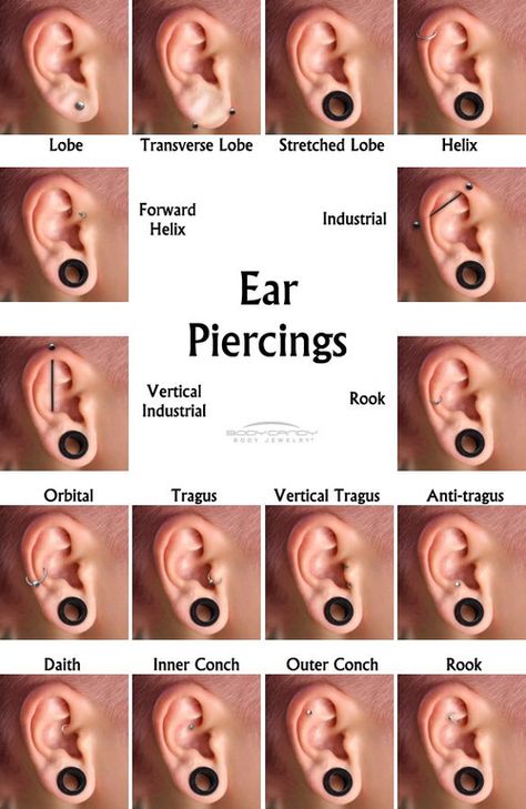 Ear piercings Piercings Corps, Ušný Piercing, Ear Piercing For Women, Ear Piercing Names, Ear Piercings Chart, Piercing Chart, Double Ear Piercings, Types Of Ear Piercings, Anti Tragus