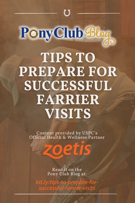 When it comes to your horse’s hoof care, farriers are your foot health and functionality experts. In this post brought to you by Zoetis, learn more about how to have the best visit with your farrier, including farrier safety, how to handle your horse during the visit and how to help him have a positive visit, and how to improve communication with your farrier. Find the tips here: bit.ly/tips-to-prepare-for-successful-farrier-visits #uspc #usponyclubs #farriers #shoeing Loss Of Balance, Hoof Care, The Visit, Improve Communication, Foot Health, Horse Care, Blog Tips, Health And Wellness, Communication