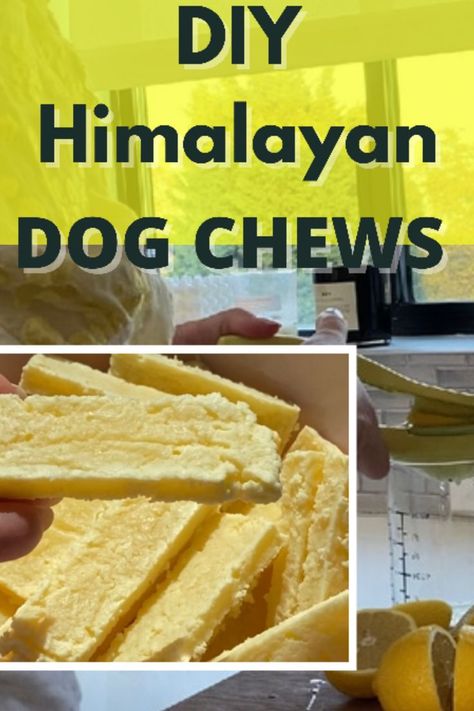 Himalayan Dog Chew Recipe Yak Dog Chews, Homemade Yak Chews For Dogs, Himalayan Dog Chew Recipe, Homemade Dog Chews Bones, Homemade Dental Chews For Dogs, Diy Dog Chews, Homemade Dog Chews, Cavapoo Dogs, Dog Dental Chews