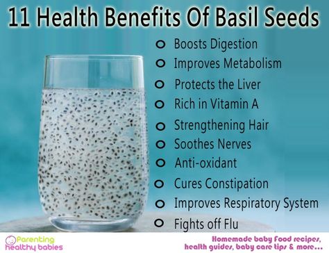 Check out the 11 Health Benefits of Basil Seeds in your Child’s Diet!! Basil Seeds Benefits, Basil Health Benefits, Brain Healthy Foods, Seeds Benefits, Coconut Benefits, Basil Seeds, Improve Metabolism, Turmeric Tea, Homemade Baby Food