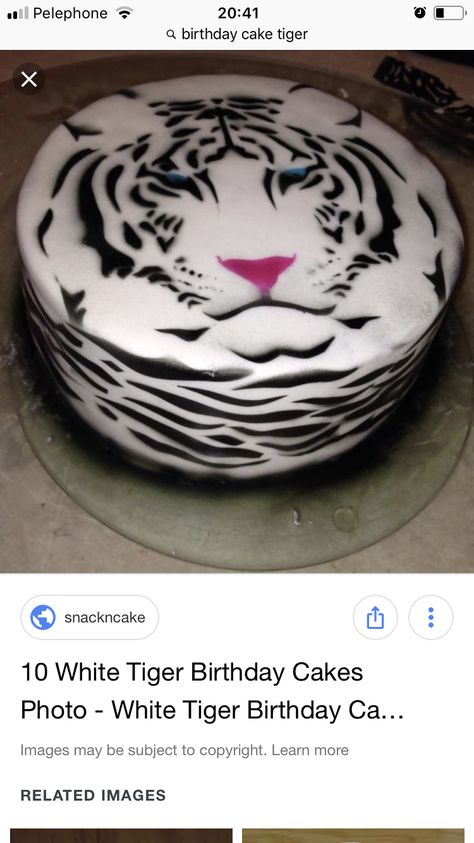 White Tiger Cake, Tiger Cake, Tiger Birthday, White Tiger, Photo Cake, Bday Ideas, Birthday Cake, Cake, Birthday