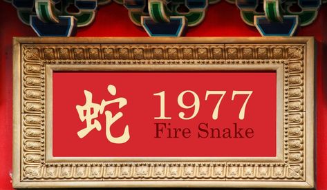 1977 Fire Snake Year Fire Snake Chinese Zodiac, Chinese New Year Dates, Zodiac Signs Calendar, Fire Snake, 12 Chinese Zodiac Signs, Birthday Personality, Birthday Horoscope, Zodiac Signs Meaning, Zodiac Elements