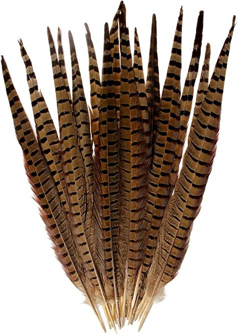 Amazon.com: 20pcs Pheasant Feather Natural Ringneck Tails Feathers 14-16inch 35-40cm for Crafts Home Wedding Party Performance DIY Decoration Pheasant Feather,Male Pheasant Feathers Pheasant Feather Tattoo, Kali Core, Prada Fw24, Pheasant Feather Decor, Aztec Headdress, Hawk Feather, Common Pheasant, Junk Kouture, Five Golden Rings