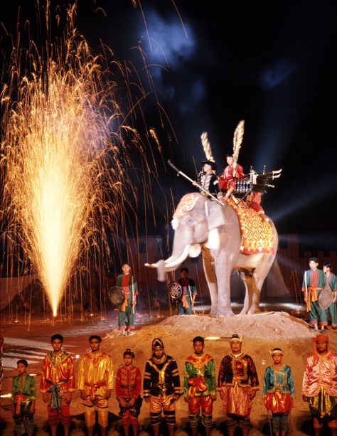 Thailand - Elephant Festival in Surin Elephant Festival, Thailand Elephants, Art Ideas, Fair Grounds, Thailand, Elephant, Festival, Travel, Art