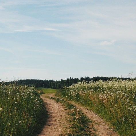 Countryside Aesthetic, Cottagecore Summer, Aesthetic Cottagecore, Landscape Designs, Trondheim, Sunset Landscape, Spring Aesthetic, Northern Italy, To Infinity And Beyond