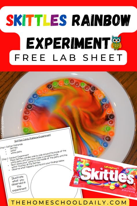 Rainbow Experiments For Kids, Skittles Science Fair Project, Science Fair Projects Skittles, Rainbow Science Experiment For Kids, Skittle Experiment, Skittles Experiment For Kids, Skittles And Milk Experiment, Skittles Science, Skittle Science Experiment