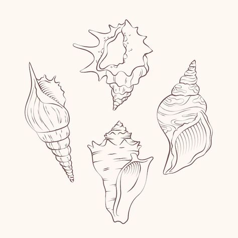 How To Draw Seashells, Drawing Seashells, Seashells Drawing, Seashell Outline, Seashell Drawing, Iphone Decor, Kraken Art, Vip Ticket, Shell Drawing