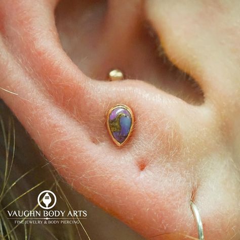 Vaughn Body Arts on Instagram: “Our wonderful client Natalie stopped in to treat herself to something new and fancy.  Cody got to do this anti-tragus piercing, and we are…” Ear Piercing Anti Tragus, Orbital Piercing Ideas, Stretched Conch Piercing, Anti Tragus Piercing Jewelry, Anti Tragus Piercing Hoop, Anti Tragus Piercing Ideas, Destiny Core, Surface Tragus, Anti Tragus Piercing