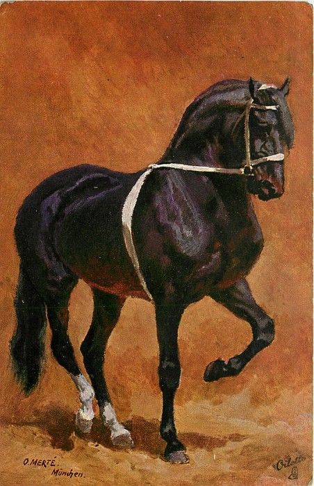 Horse Equestrian Artwork, Rider Art, Horse Paintings, Decoupage Papers, Horse Anatomy, Bay Horse, Horse Artwork, Equestrian Art, Art Horse