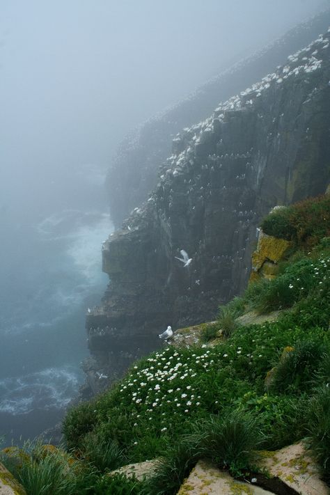 Through the Fog by Stephen Stephen on 500px Gros Morne, Newfoundland Canada, Newfoundland And Labrador, The Fog, To Infinity And Beyond, North America Travel, Canada Travel, Newfoundland, Pretty Places