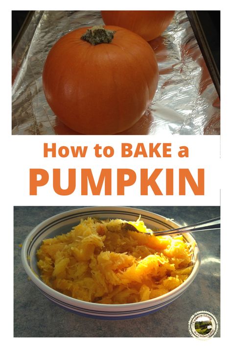 How To Bake Whole Pumpkin, Cook A Pumpkin In Oven, Cooking Whole Pumpkin In Oven, Flat White Boer Pumpkin Recipe, Cooking A Pumpkin In Oven, Baking A Pumpkin In The Oven, Cooking Pumpkin In Oven, How To Bake Pumpkin In The Oven, What To Do With A Pumpkin