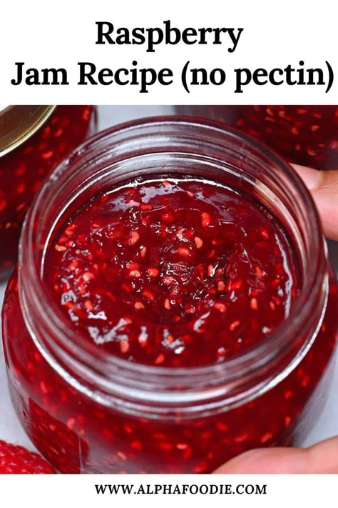 This classic 3-ingredient raspberry jam recipe is sweet, summery, tangy, delicious, and made with simple beginner-friendly steps and no added pectin. Plus, you can store it in the fridge, freezer, or can it in a hot water bath! Easy Raspberry Jam, Condensed Milk Recipes Desserts, Hot Water Bath Canning, Preserved Food, Homemade Ingredients, Homemade Raspberry Jam, Raspberry Jam Recipe, Raspberry Jelly, Homesteading Tips