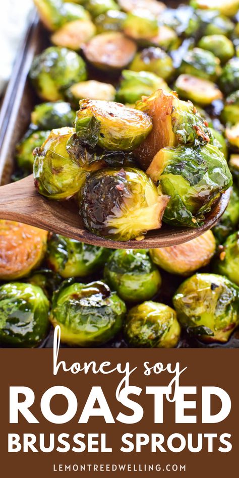 Honey Brussel Sprouts, Grilled Brussel Sprouts, Brussel Sprouts Recipes Easy, Roasted Brussel Sprouts Oven, Soy Glaze, Brussel Sprout Recipes Roasted, Vegetable Side Dishes Recipes, Roasted Brussels Sprouts, Roasted Brussel