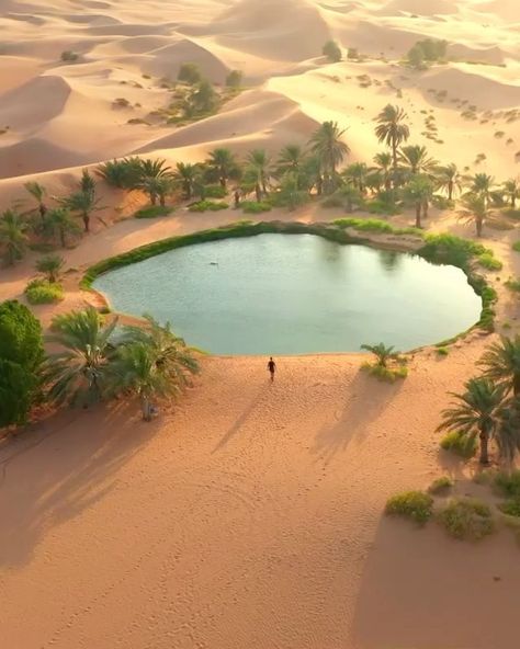 EARTH on Instagram: “An oasis in the middle of desert!🏜🏝🇦🇪 Who’d you like to visit #Abudhabi with?😍 Video by @100.pixels Follow ✨ @earthbestshots ✨ for more!” Oasis Desert Aesthetic, Desert Oasis Aesthetic, Oasis Architecture, Oasis In The Desert, Desert Aesthetic, Weirdcore Aesthetic, World Nature, Cowboy Aesthetic, Desert Life