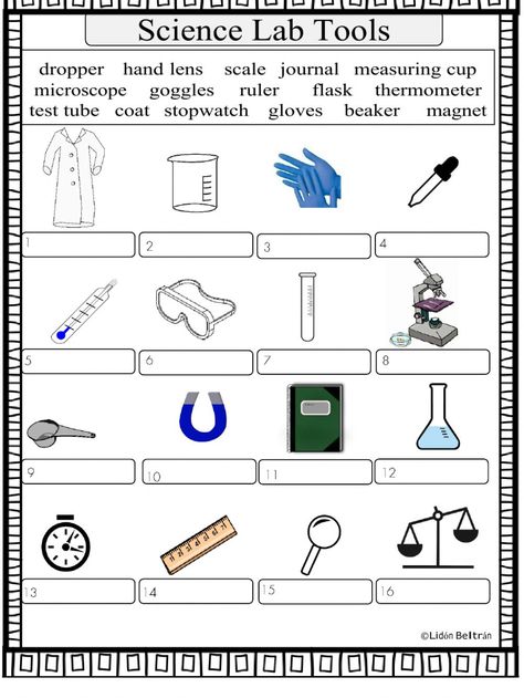 What Is Science Worksheet, Science Tools Worksheet, 6th Grade Science Worksheets, Science Kindergarten Worksheets, Science Lab Tools, Types Of Scientists, Science Process Skills, Free Science Worksheets, Cells Worksheet