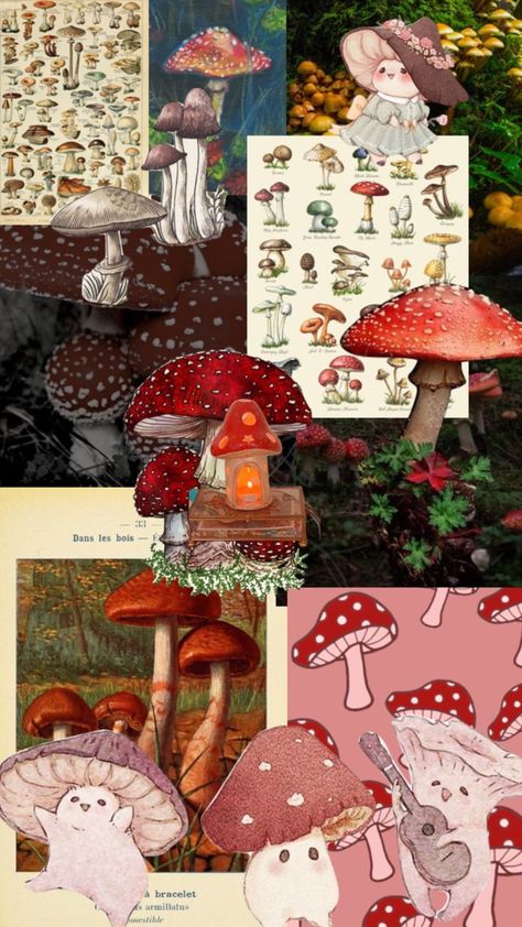 3d Mushroom Wallpaper, Mushroom Collage Art, Mushrooms Aesthetic Wallpaper, Toadstool Aesthetic, Mushroom Wallpaper Iphone, Cute Mushroom Wallpaper, Mushroom Wallpaper Aesthetic, Mushrooms Wallpaper, Cottagecore Wallpaper