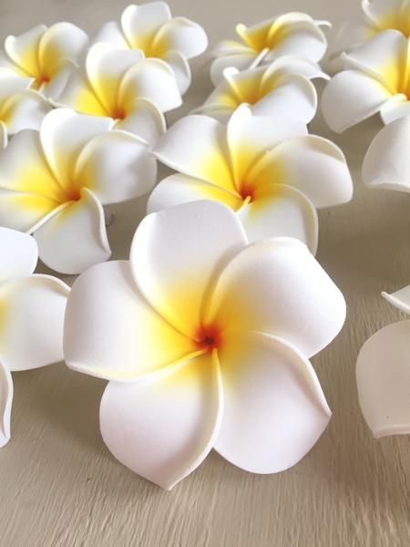 Frangipani / Plumeria Flower Hair Clip – Pinknique LLC Useful Packaging, Hawaii Flowers, Hawaiian Plumeria, Botanical Flower Art, Polymer Clay Flower Jewelry, Flowers Pretty, Paper Quilling Patterns, Plumeria Flowers, Pinterest Diy Crafts