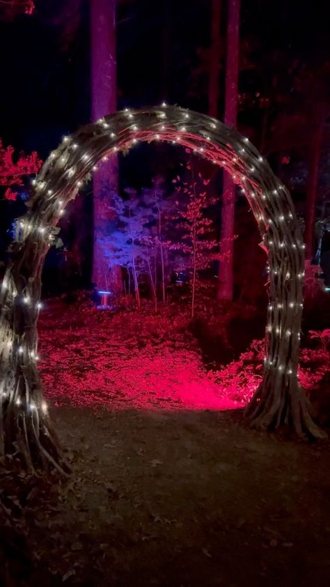 228K views · 16K reactions | Thankful for the people around me who make life a little more magical ✨ | Holly Auna | Auni · Twinkling Lights (Reimagined) Wooden Archway, Garden Archway, Lakeside Living, Yard Project, Twinkling Lights, Future Wedding Plans, Forest Fairy, Twinkle Lights, Garden And Yard