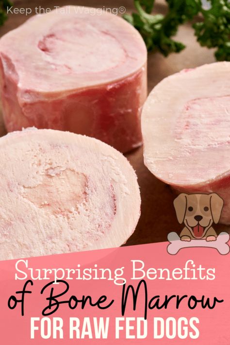 Marrow Bones For Dogs, Raw Feeding For Dogs, Bones For Dogs, Cook Dog Food, Raw Dog Food Diet, Tail Wagging, Raw Dog Food Recipes, Dog Nutrition, Bone Marrow