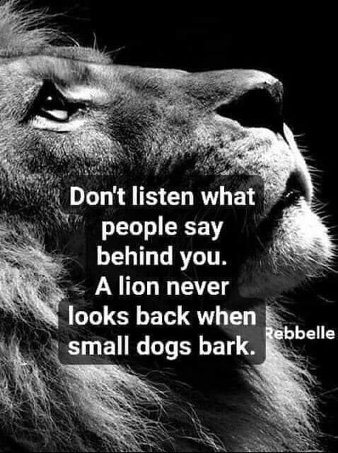 Lioness Quotes, Leo Quotes, Lion Quotes, Warrior Quotes, Inspirational Quotes Pictures, Badass Quotes, Queen Quotes, A Lion, Inspiring Quotes About Life