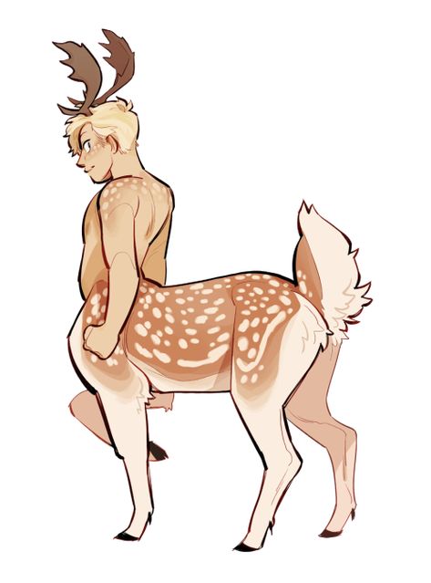 Centaur deer boy Animal Centaurs, Dear Centaur, Feline Centaur, Deer Hybrid Oc, Deer Centaur Oc, Cervitaur Male, Centaur Types, Goat Centaur, Half Deer Half Human