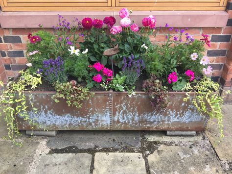 Trough Planting Ideas, Water Trough Planter, Trough Planter Ideas, Atrium Ideas, Plant Troughs, Fenced Garden, Patio Container Gardening, Garden Troughs, Potted Garden