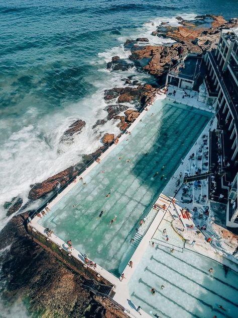 Bondi Iceberg, Bondi Beach Poster, Houses By The Beach, Bondi Icebergs, Floating Architecture, Semester Abroad, Visit Australia, Beach Posters, Bondi Beach