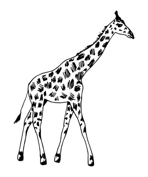 Hand-drawn vector illustration with black outline. Full length giraffe, spotted skin, side view isolated on a white background. Wild animals africa, nature, zoo. Safari, savannah. Safari Drawing, Giraffe Outline, Animals Outline, Animals Africa, Africa Nature, Side View Drawing, Giraffe Illustration, Animal Outline, Outline Drawing