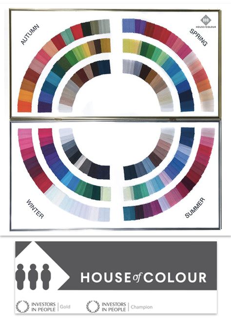 Everything You Need to Know About Professional Color Analysis - PureWow Hoc Summer, Color Analysis Winter, Color Analysis Summer, House Of Colour, Autumn Color Palette Fashion, Cool Winter Color Palette, Dark Summer, Style Analysis, Winter Color Palette